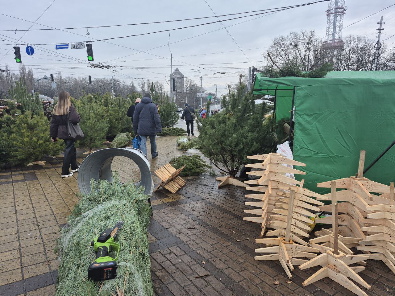 До 7 тисяч за ялинку. Скільки насправді коштують новорічні дерева в Києві